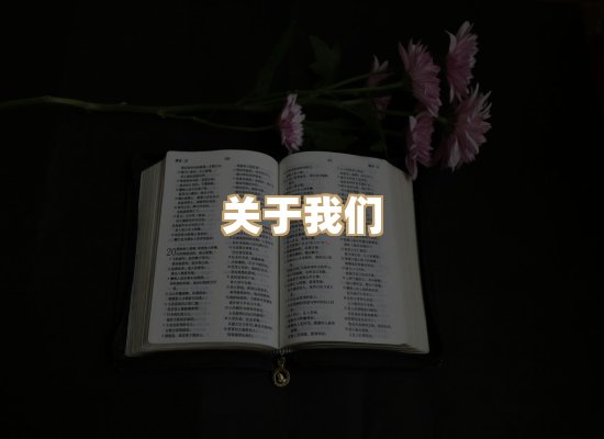 关于词弦书仓